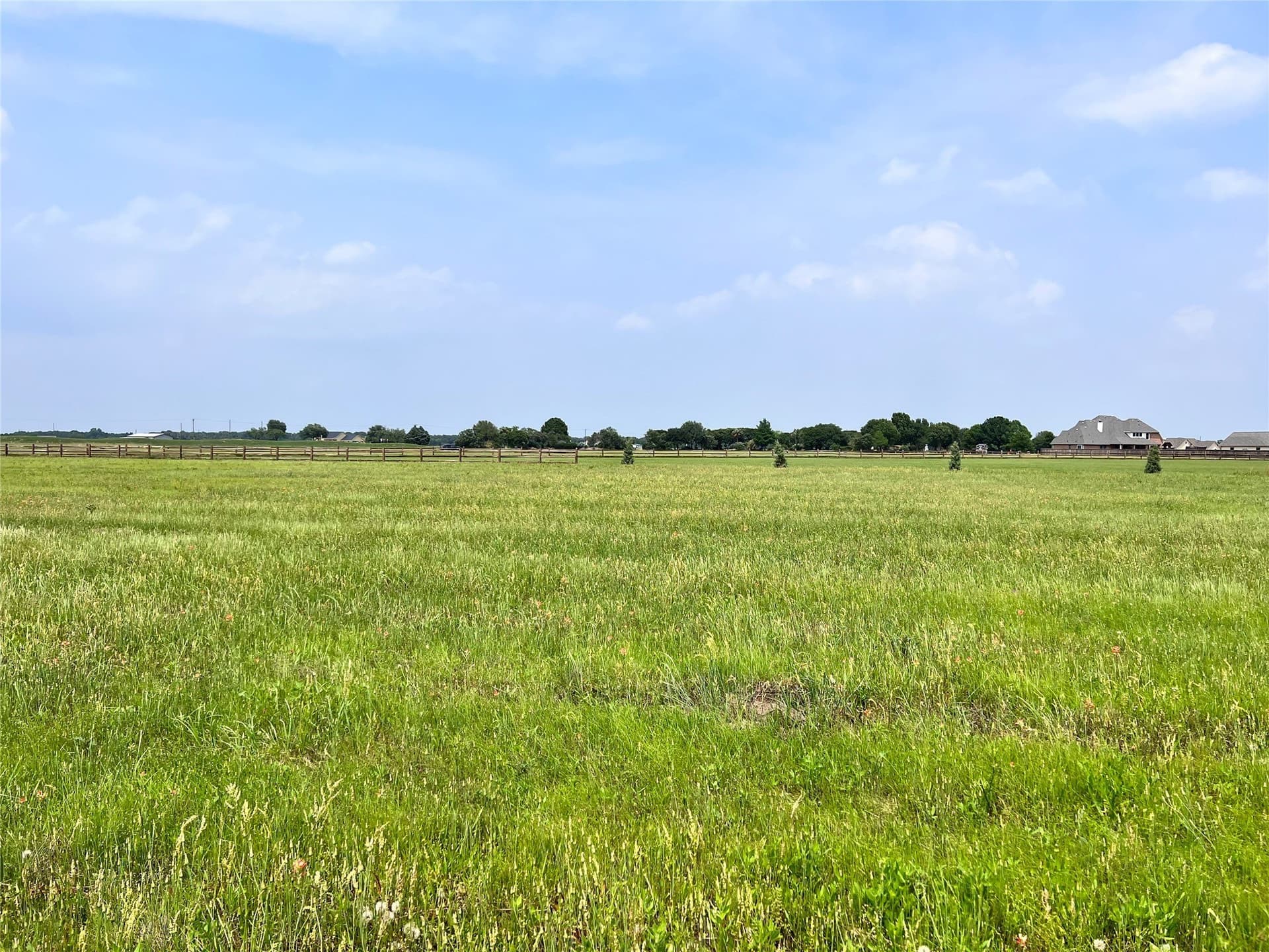 1.14 acres in Navarro County gallery image 4