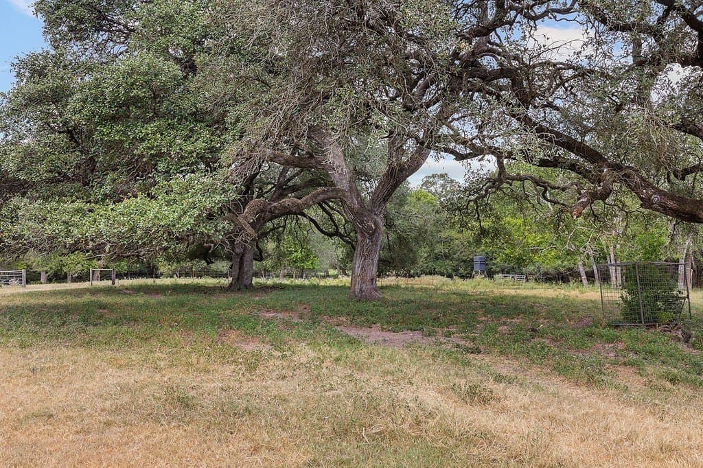 66.42 acres in Fayette County - photo 12
