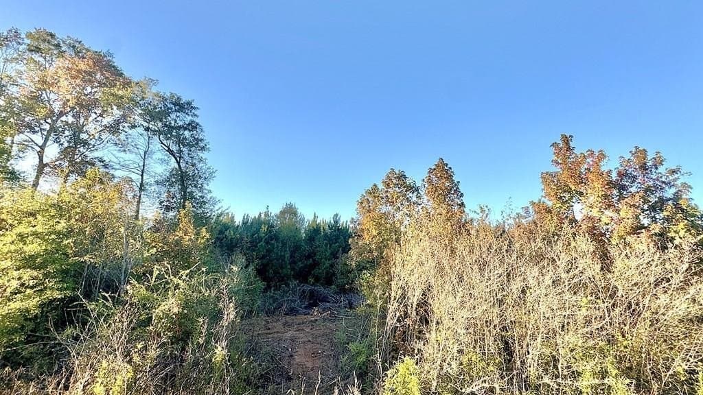 15 acres in Texas County