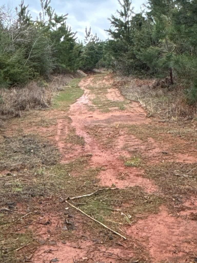 15 acres in Texas County gallery image 2