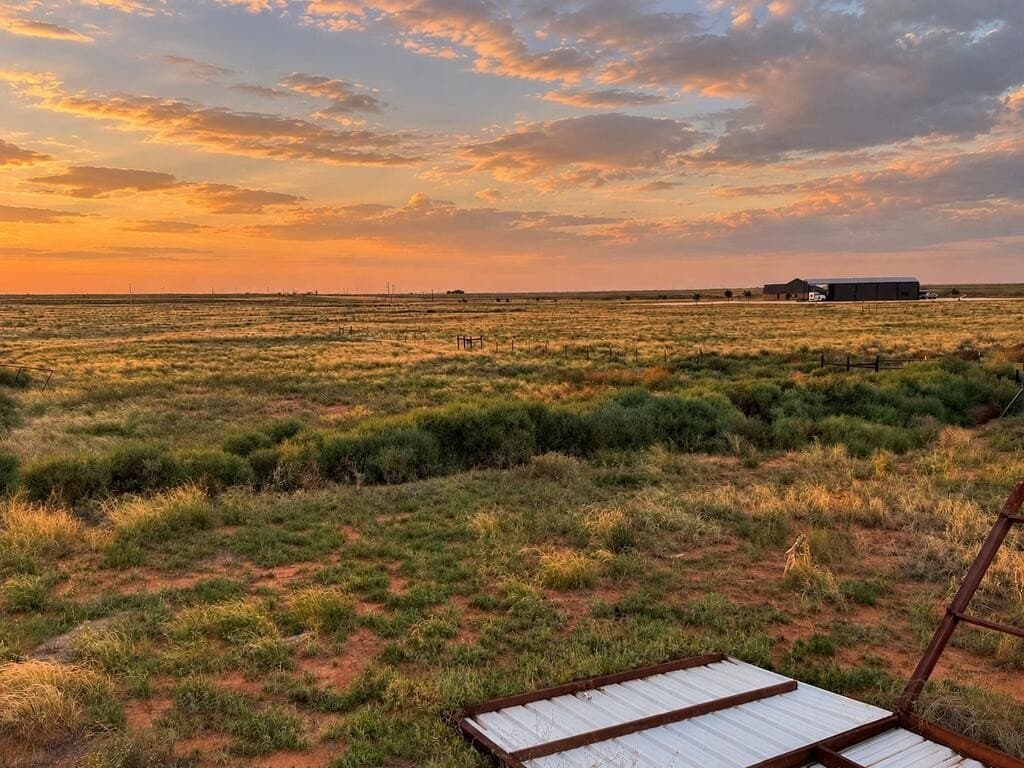 10 acres in Gaines County - photo 8