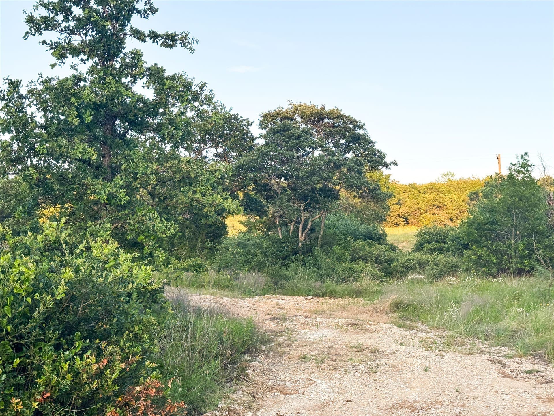 1.31 acres in Eastland County - photo 7