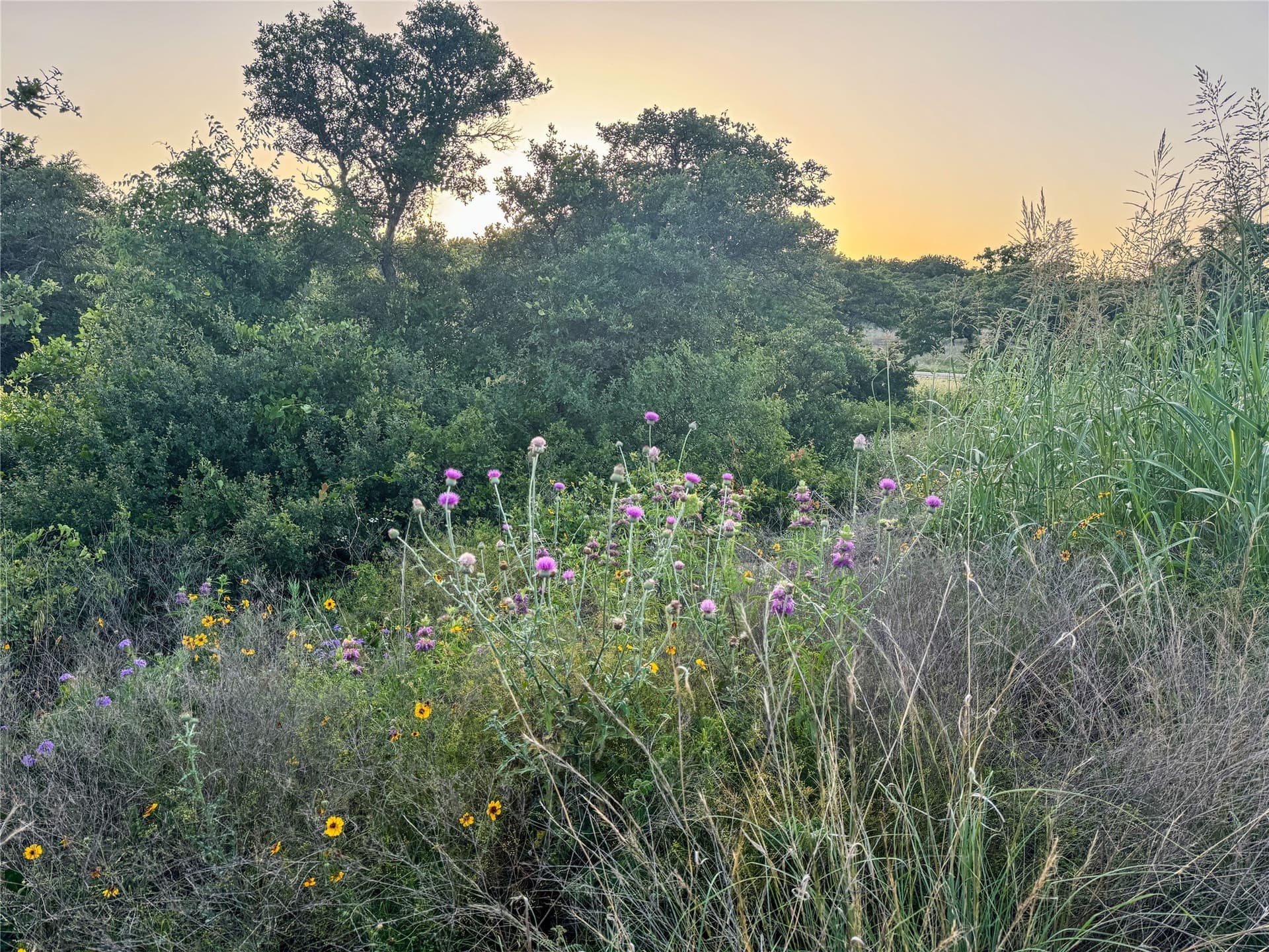 1.31 acres in Eastland County - photo 17