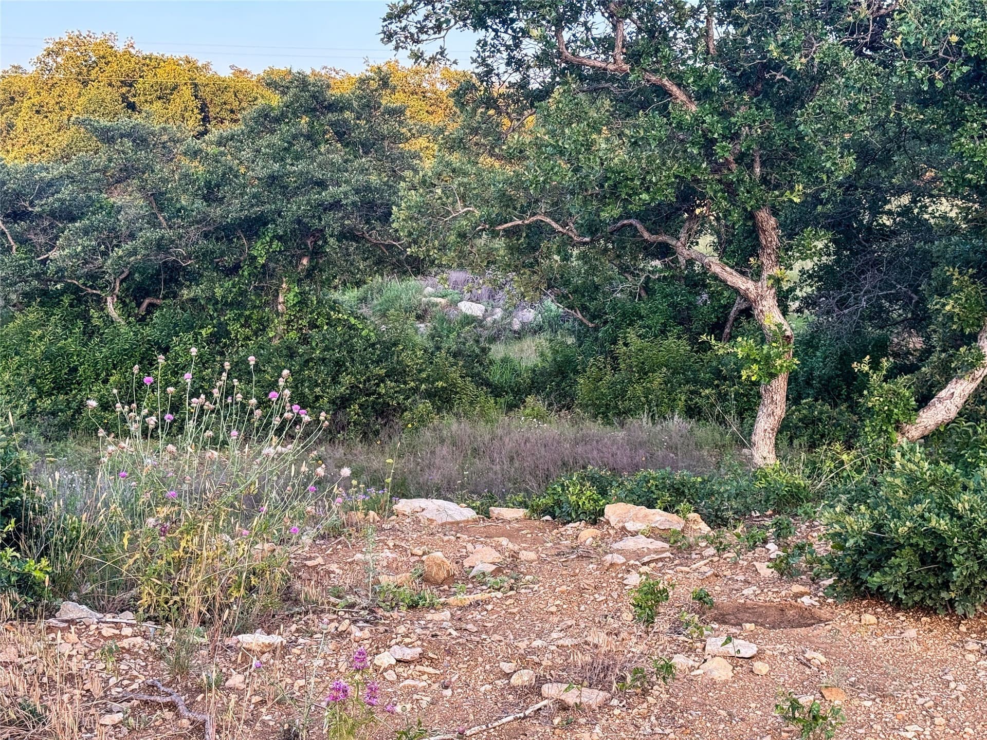 1.31 acres in Eastland County - photo 18