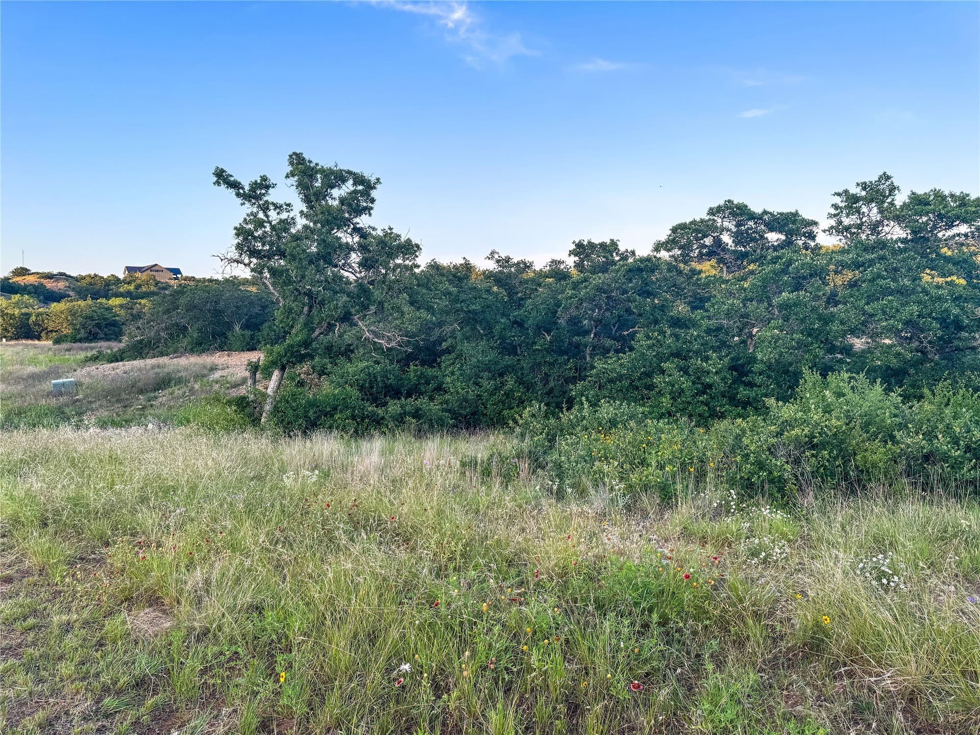 1.31 acres in Eastland County - photo 15