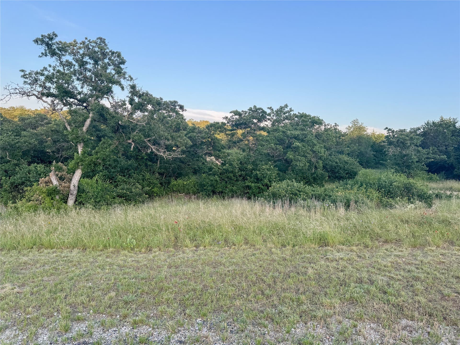 1.31 acres in Eastland County - photo 14