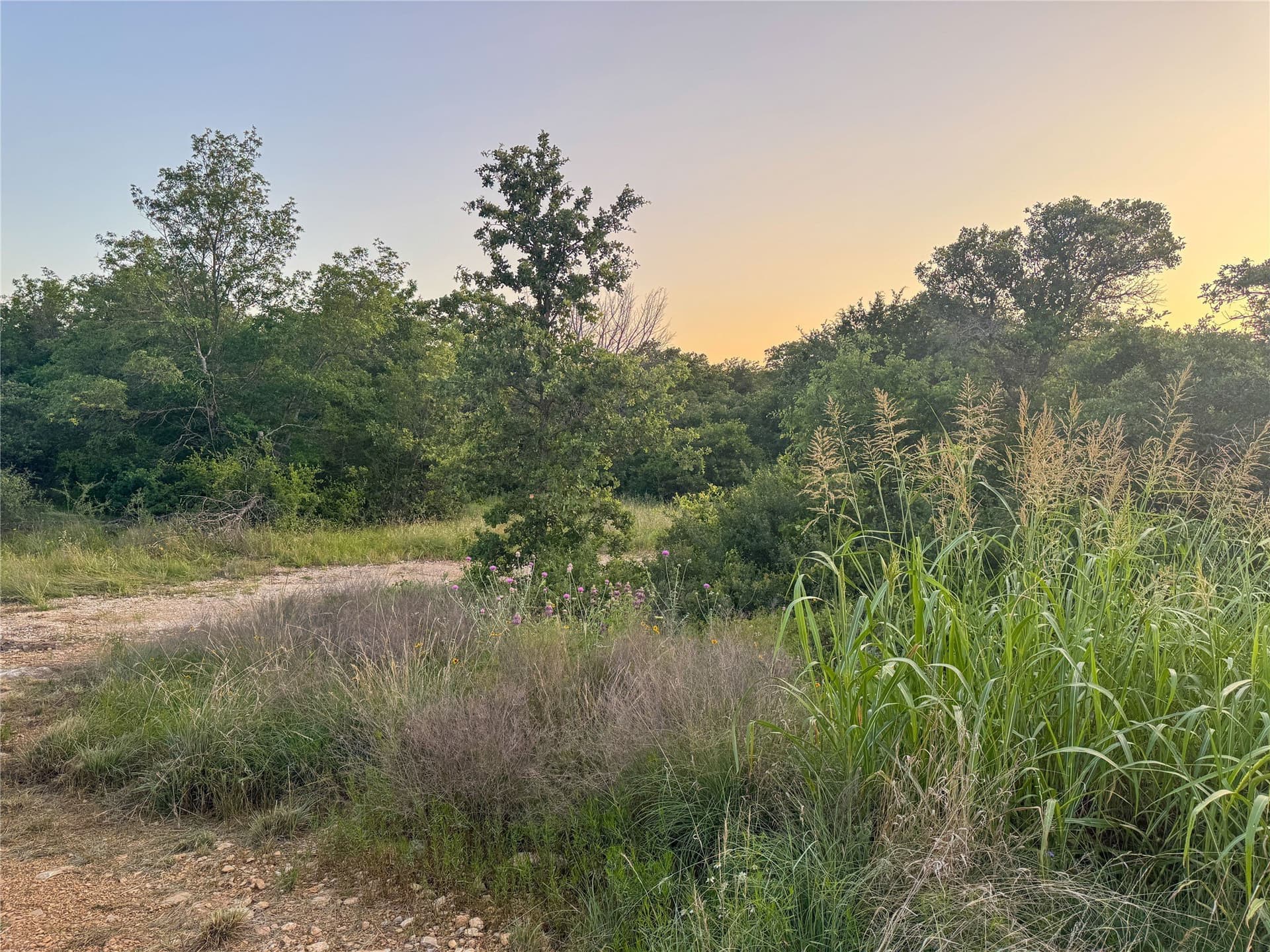 1.31 acres in Eastland County - photo 21