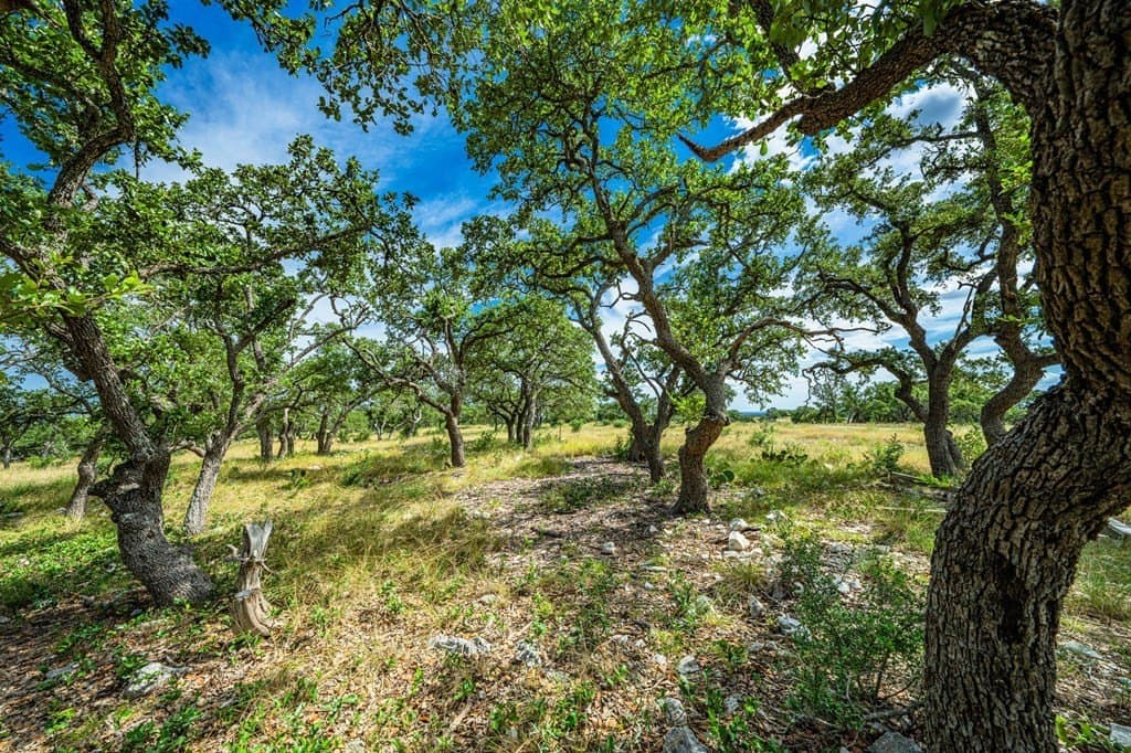 5 acres in Gillespie County - photo 7