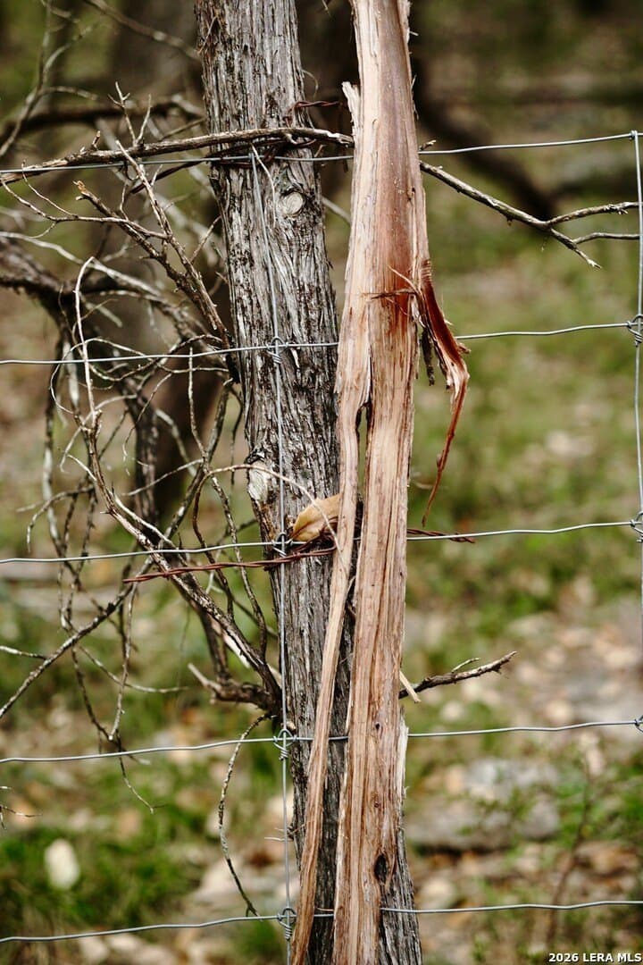 142 acres in Comal County - photo 5