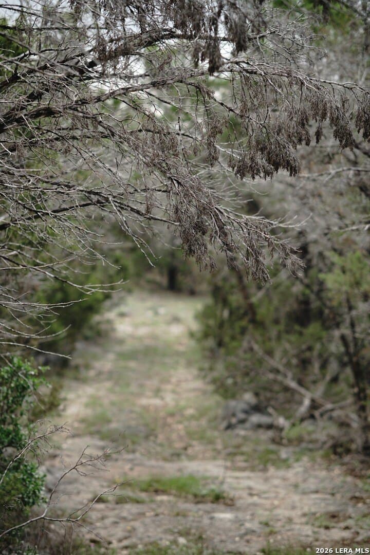 142 acres in Comal County - photo 3