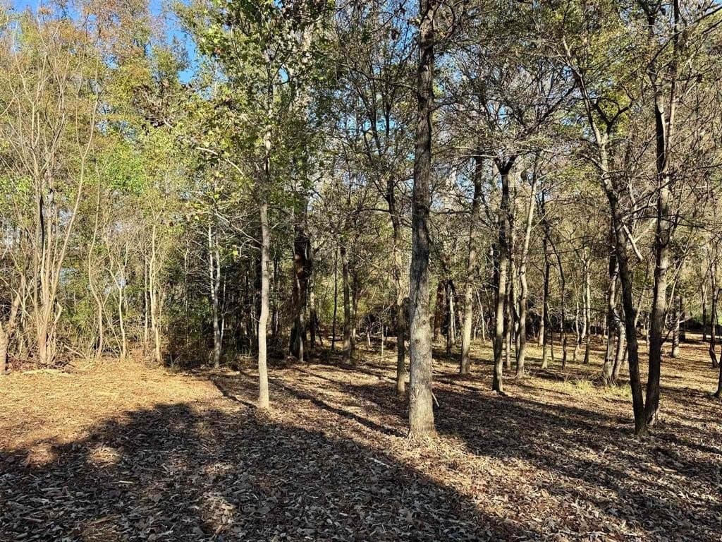 1 acres in Henderson County featured view