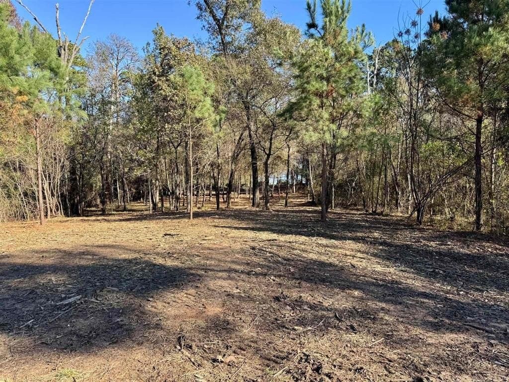 1 acres in Henderson County gallery image 3