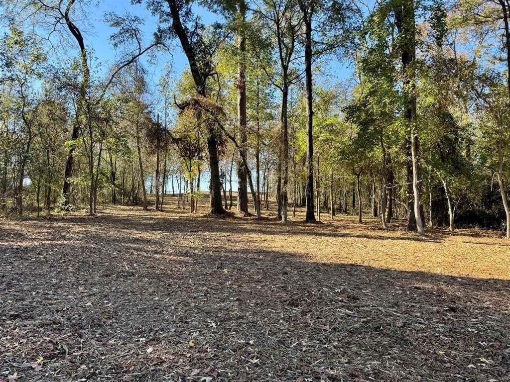 1 acres in Henderson County gallery image 4