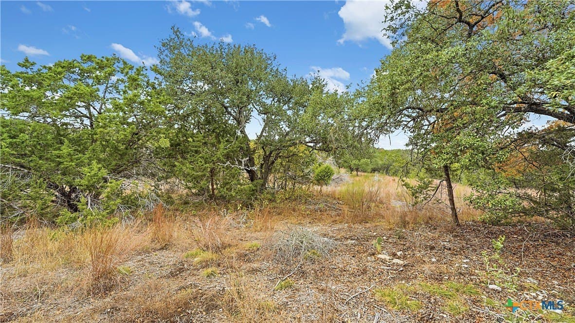5.04 acres in Comal County gallery image 3