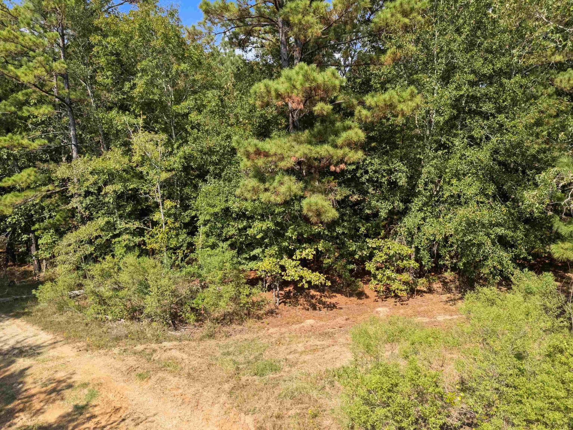 27 acres in Texas County - photo 15