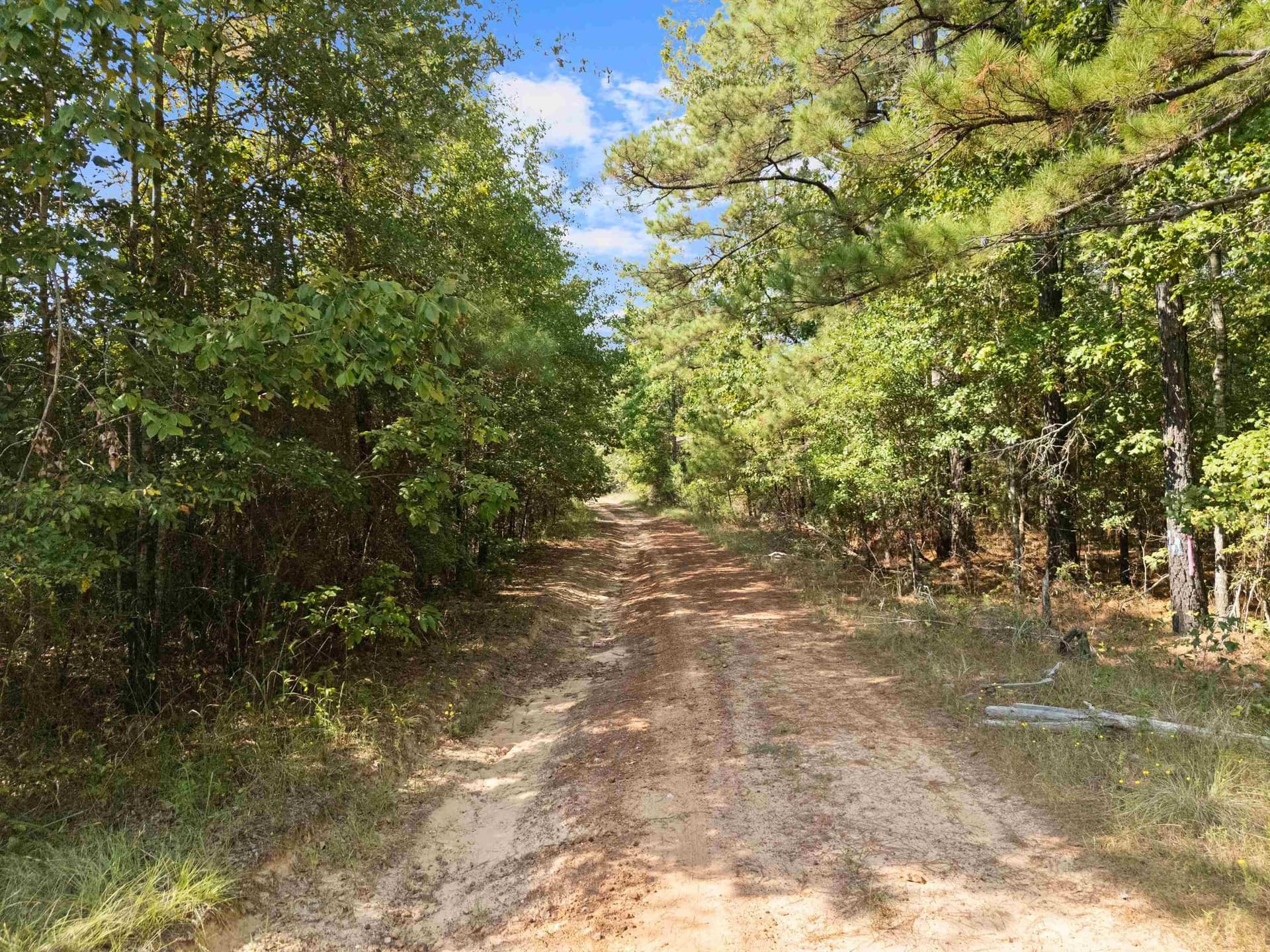 27 acres in Texas County - photo 20