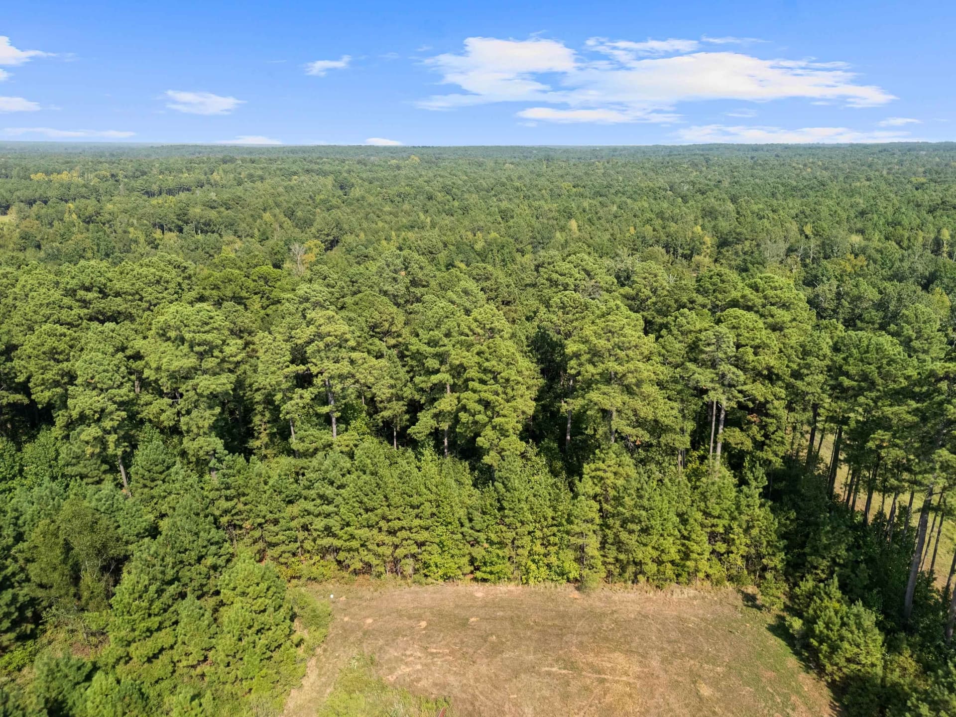 27 acres in Texas County - photo 7