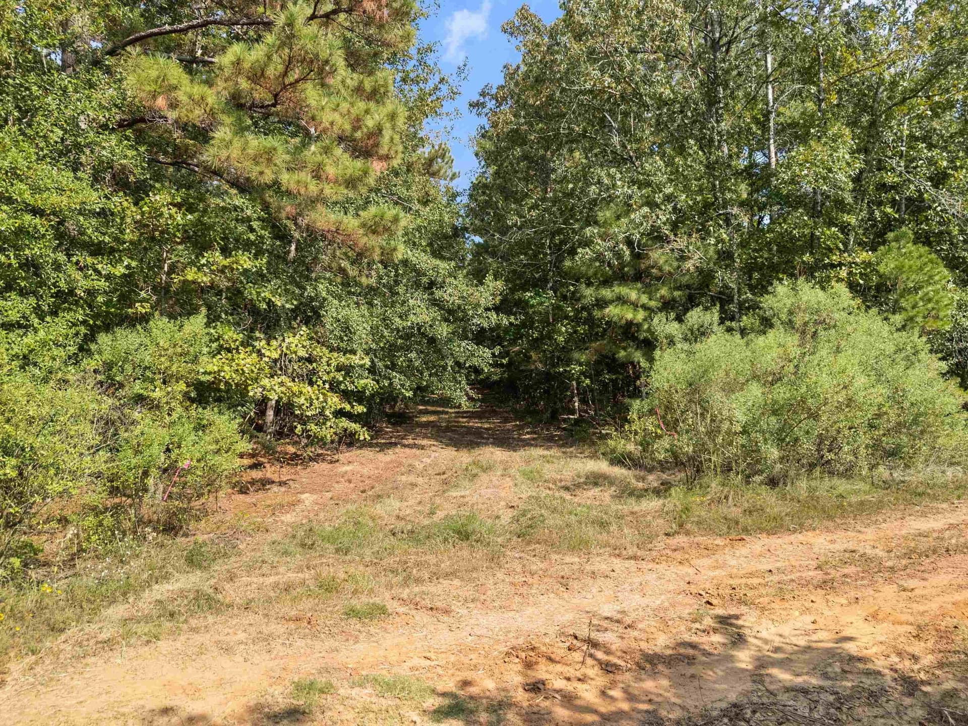27 acres in Texas County - photo 19