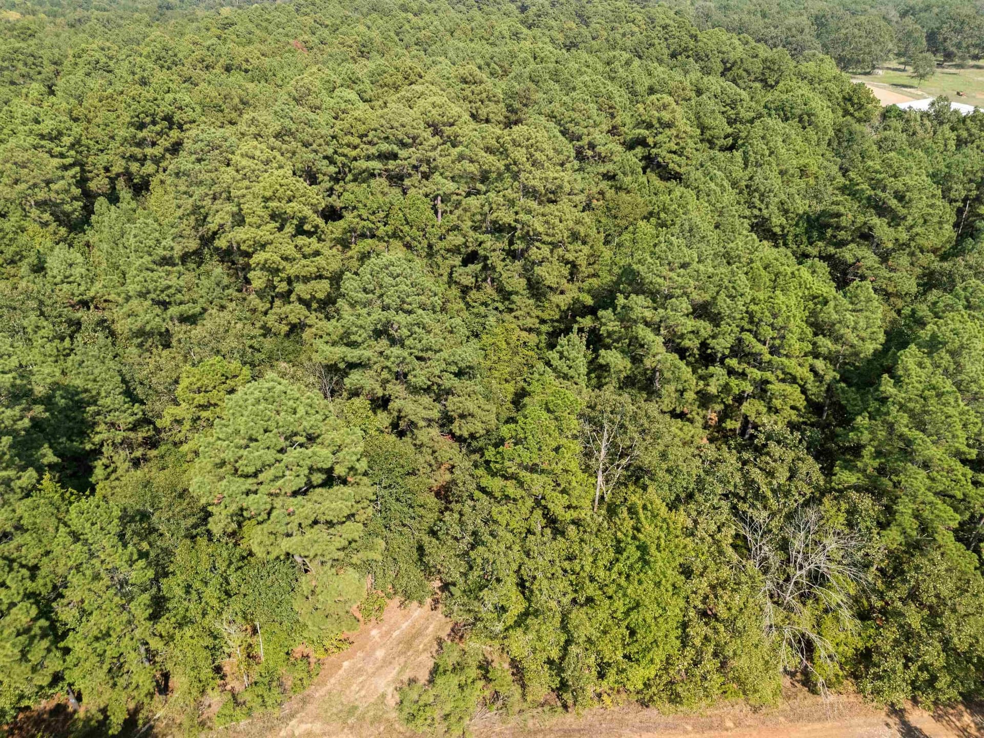 27 acres in Texas County - photo 12