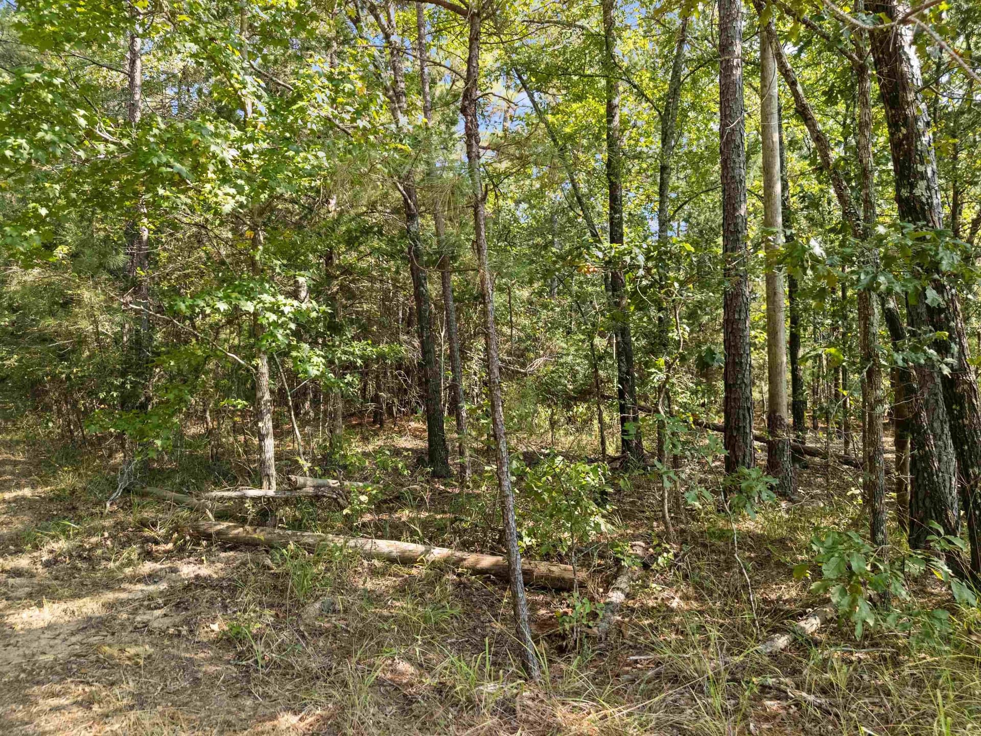 27 acres in Texas County - photo 18