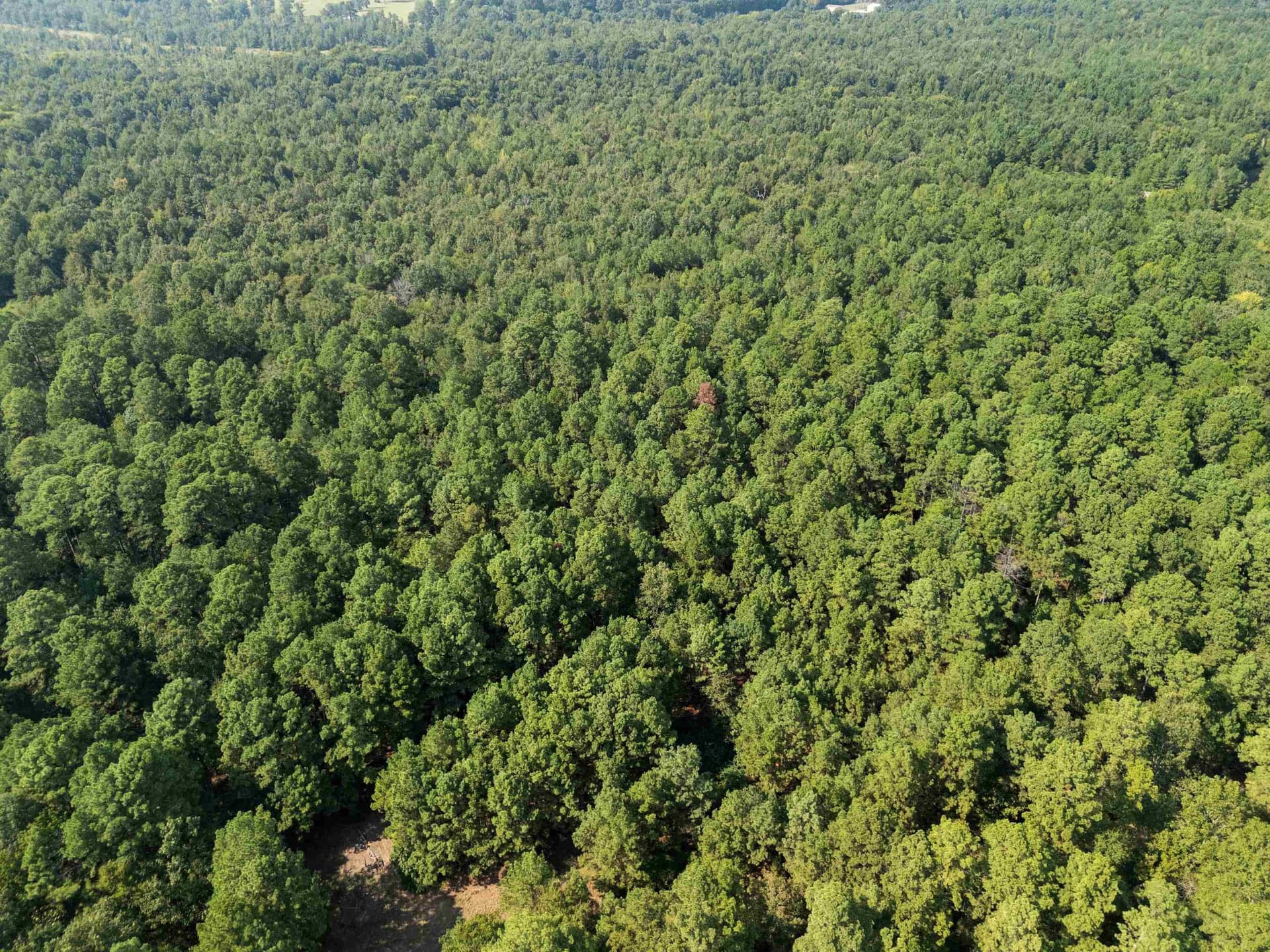 27 acres in Texas County - photo 9