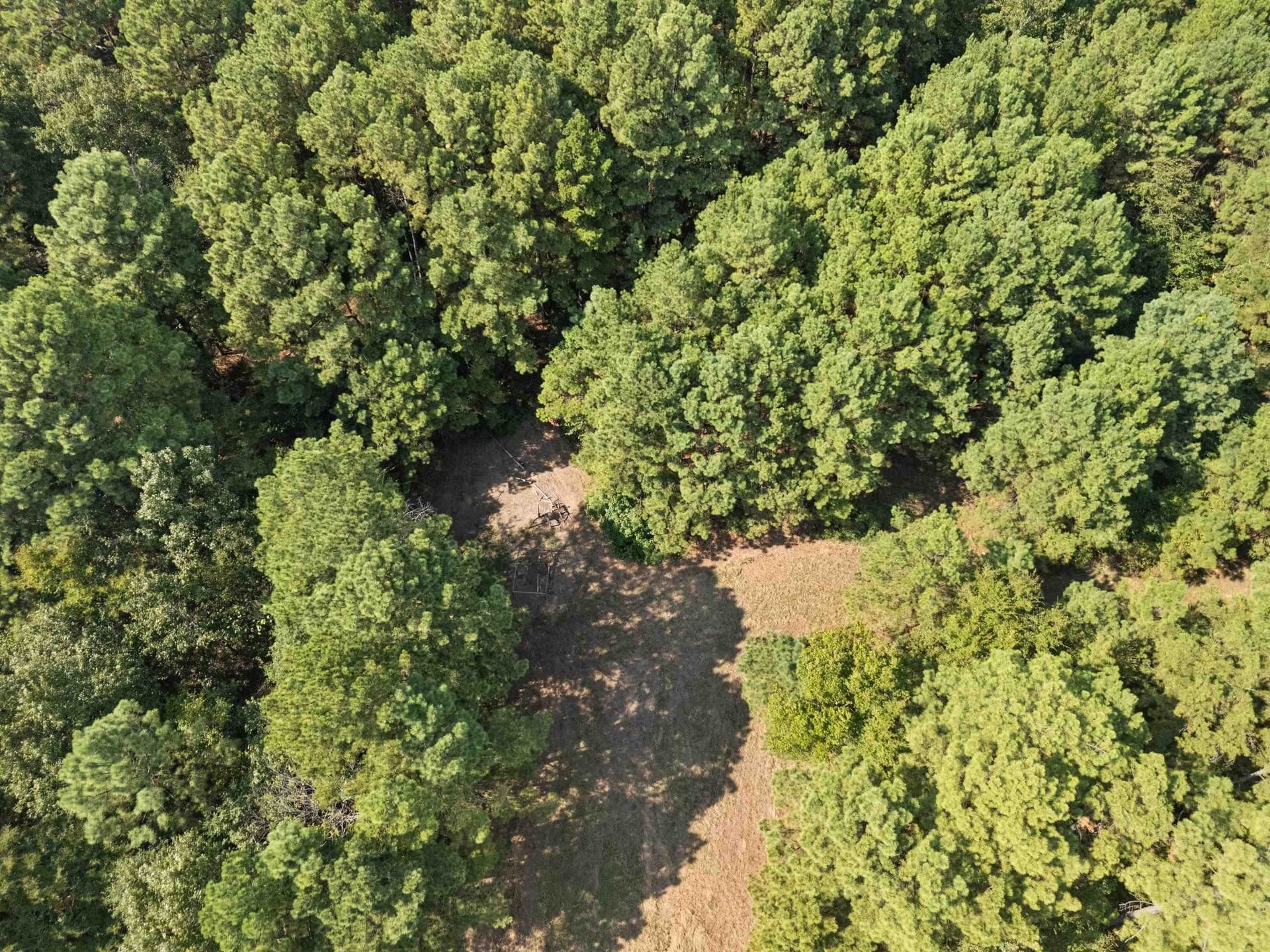 27 acres in Texas County - photo 11