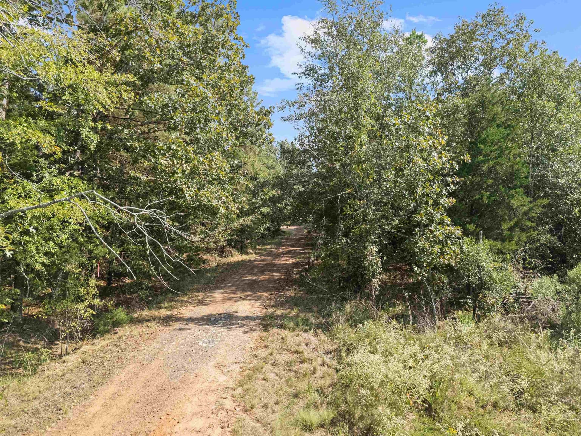 27 acres in Texas County - photo 14