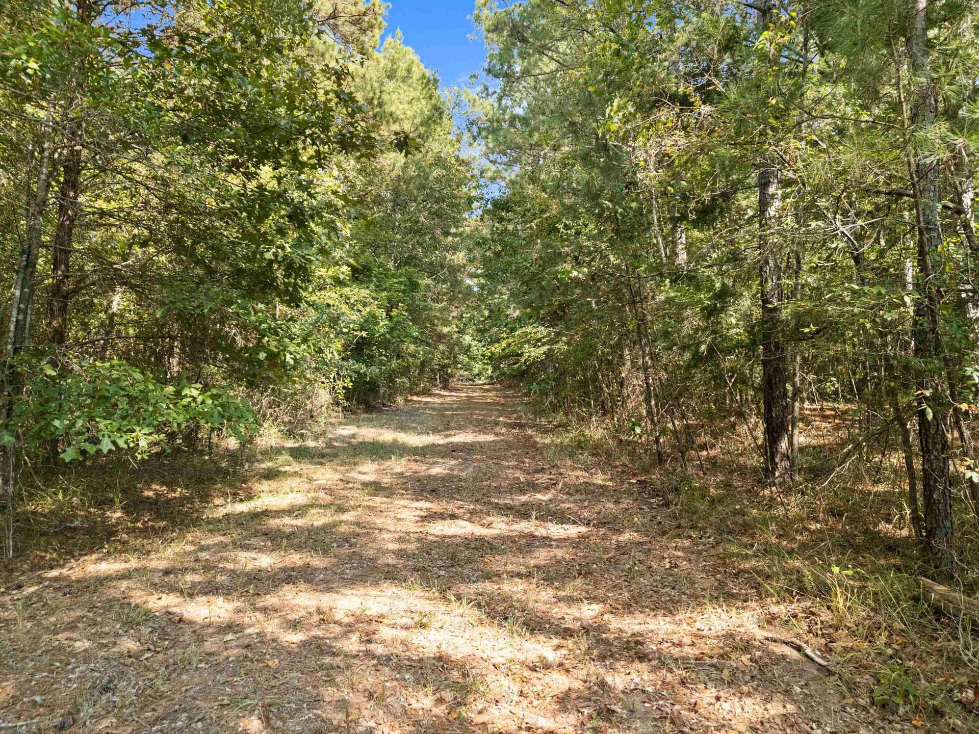 27 acres in Texas County - photo 16