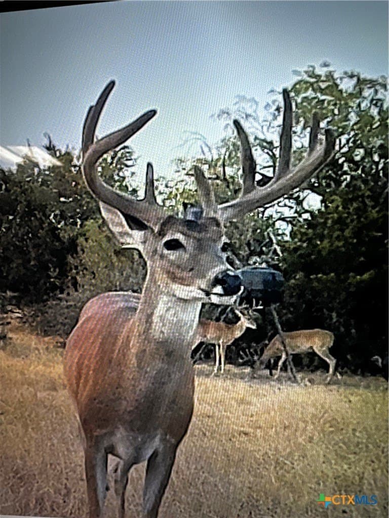 12.96 acres in Mills County - photo 10