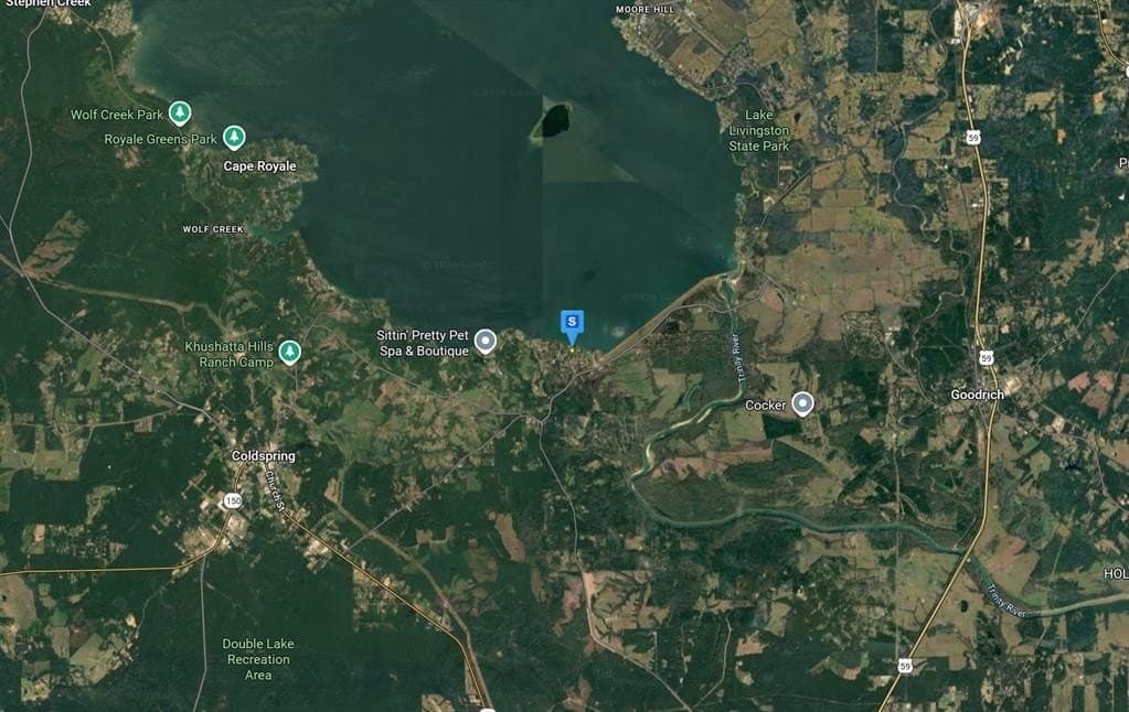 0.31 acres in San Jacinto County gallery image 4
