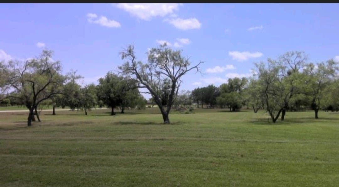 2 acres in Rockwall County gallery image 2