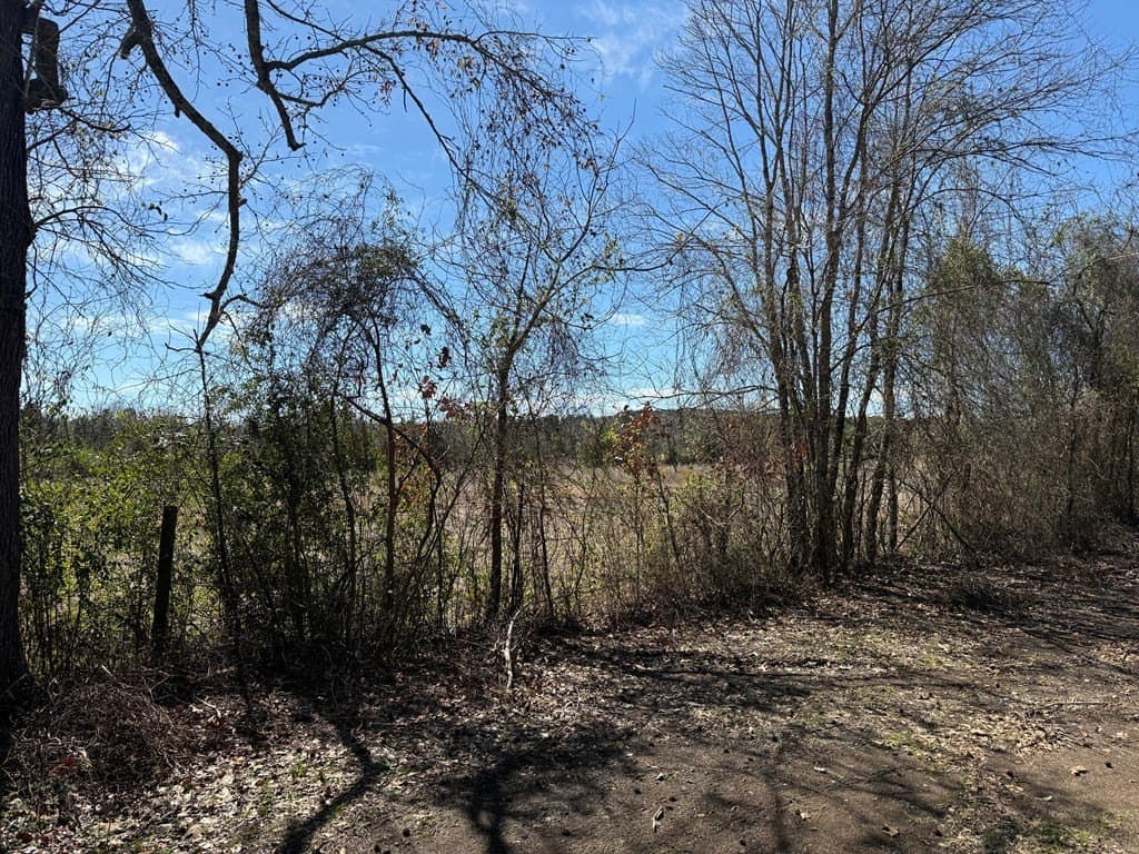 2 acres in Texas County gallery image 2