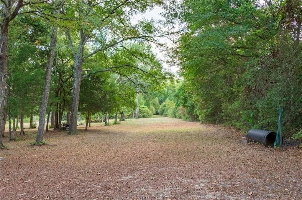 15.21 acres in Leon County - photo 6