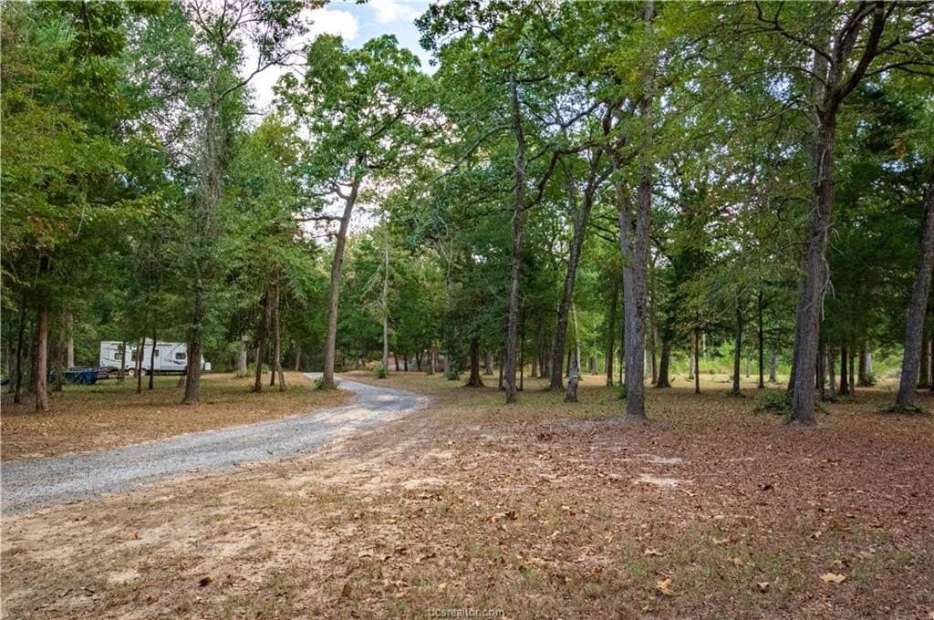 15.21 acres in Leon County - photo 5