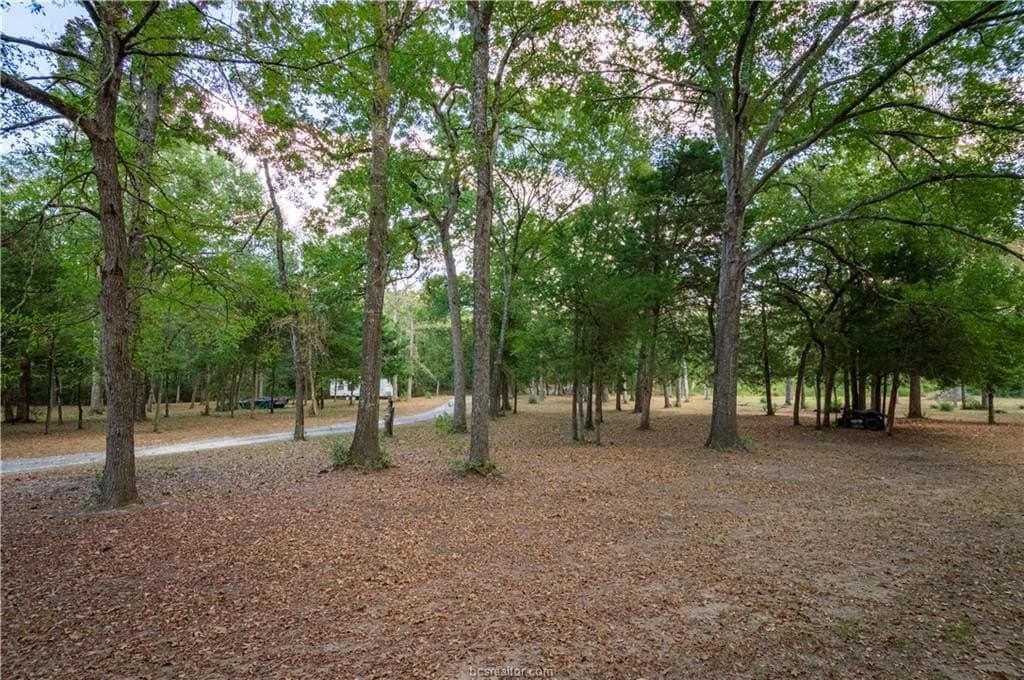 15.21 acres in Leon County - photo 7