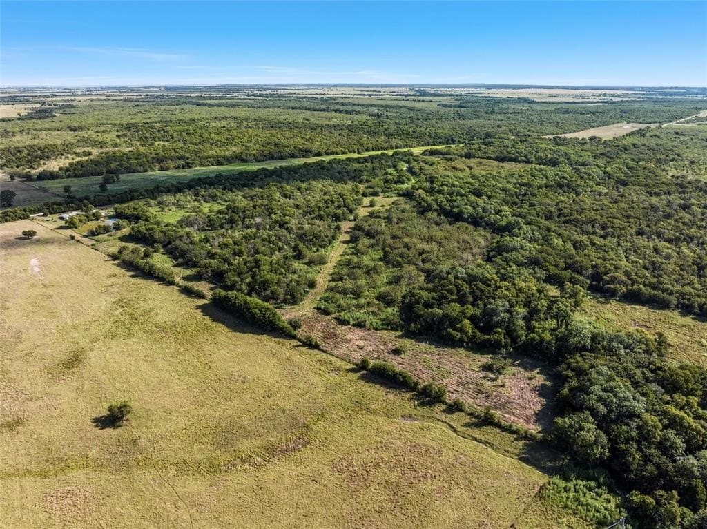 48.85 acres in Limestone County gallery image 3