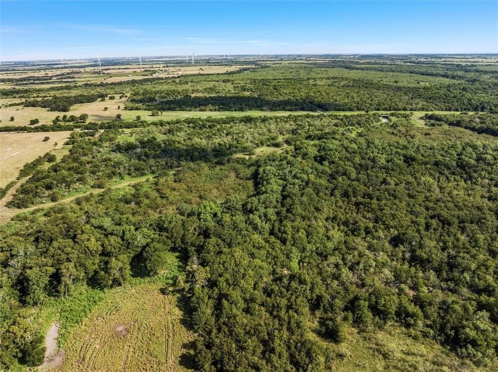 48.85 acres in Limestone County gallery image 4