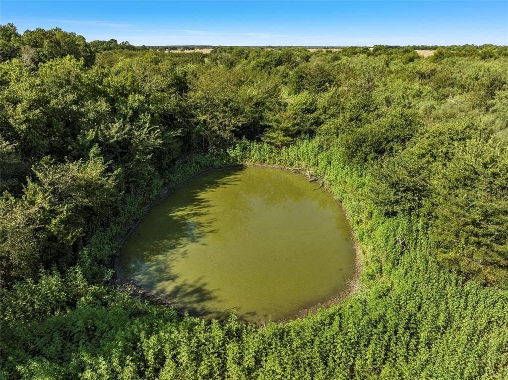 48.85 acres in Limestone County featured view