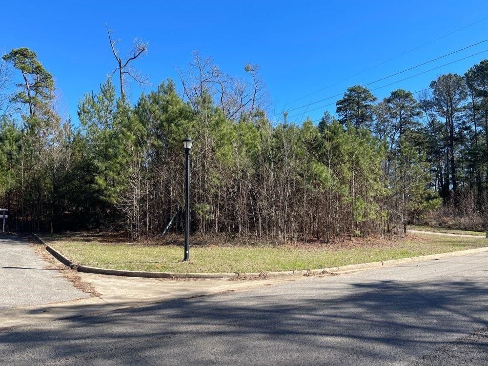 0.19 acres in Gregg County gallery image 3