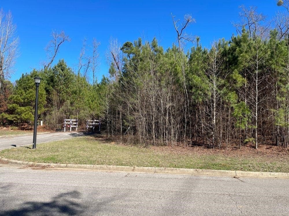0.19 acres in Gregg County gallery image 4