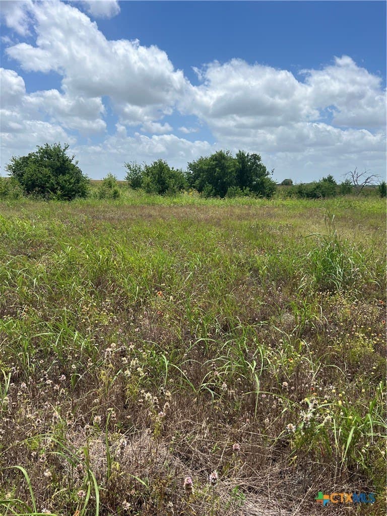 6 acres in Williamson County