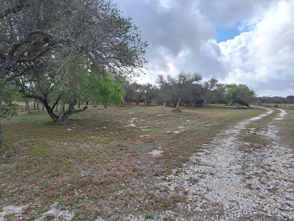 14.19 acres in Texas County gallery image 3