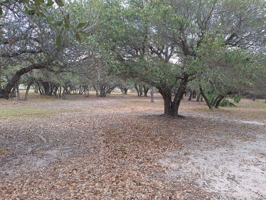 14.19 acres in Texas County gallery image 2