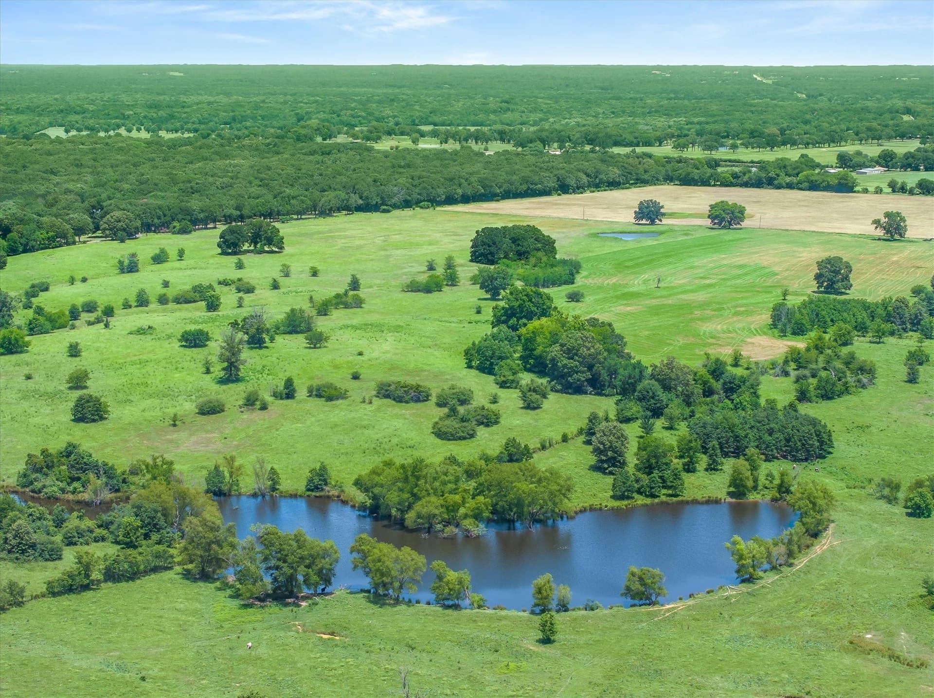 322.99 acres in Van Zandt County - photo 36