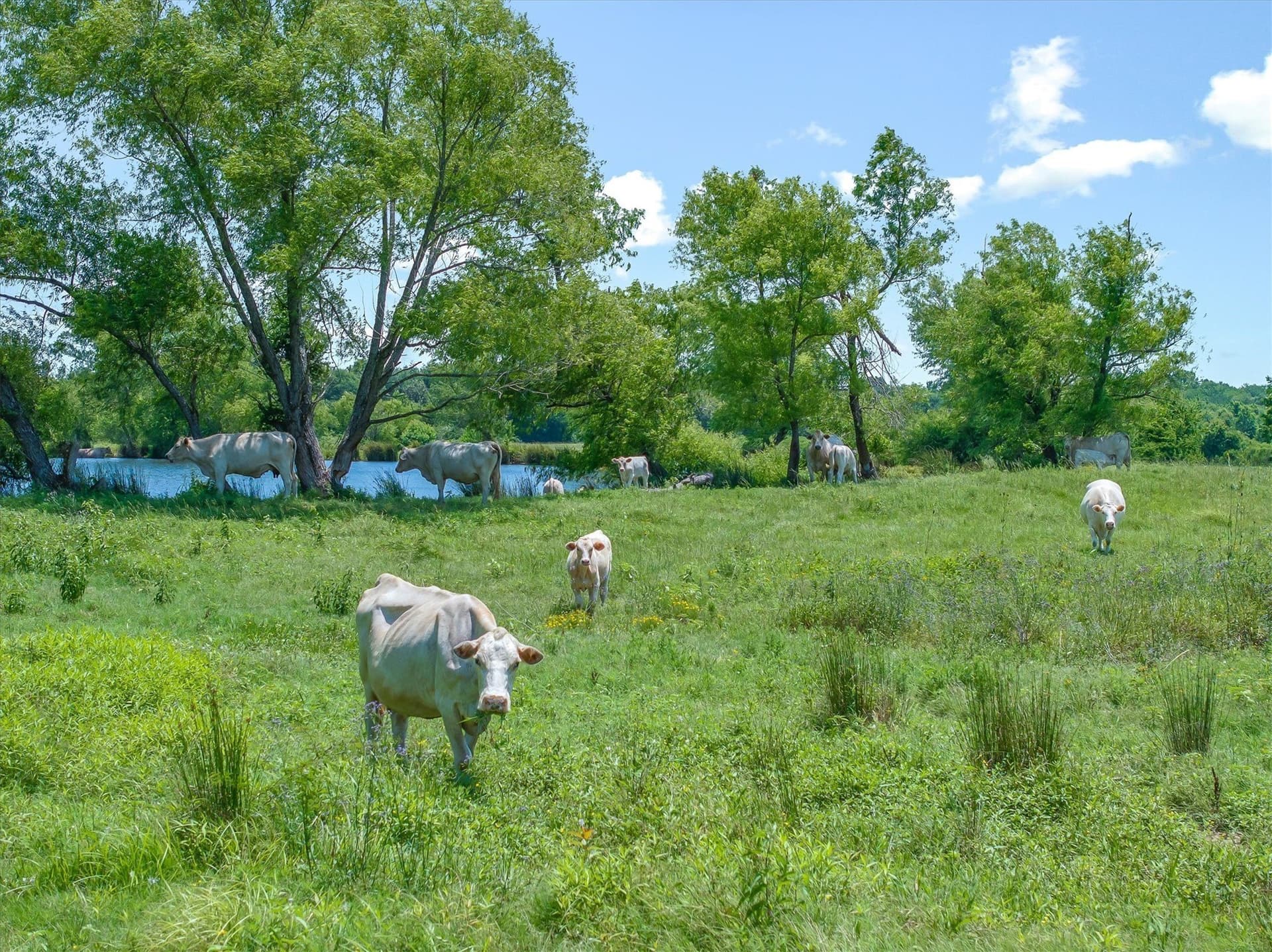322.99 acres in Van Zandt County - photo 28