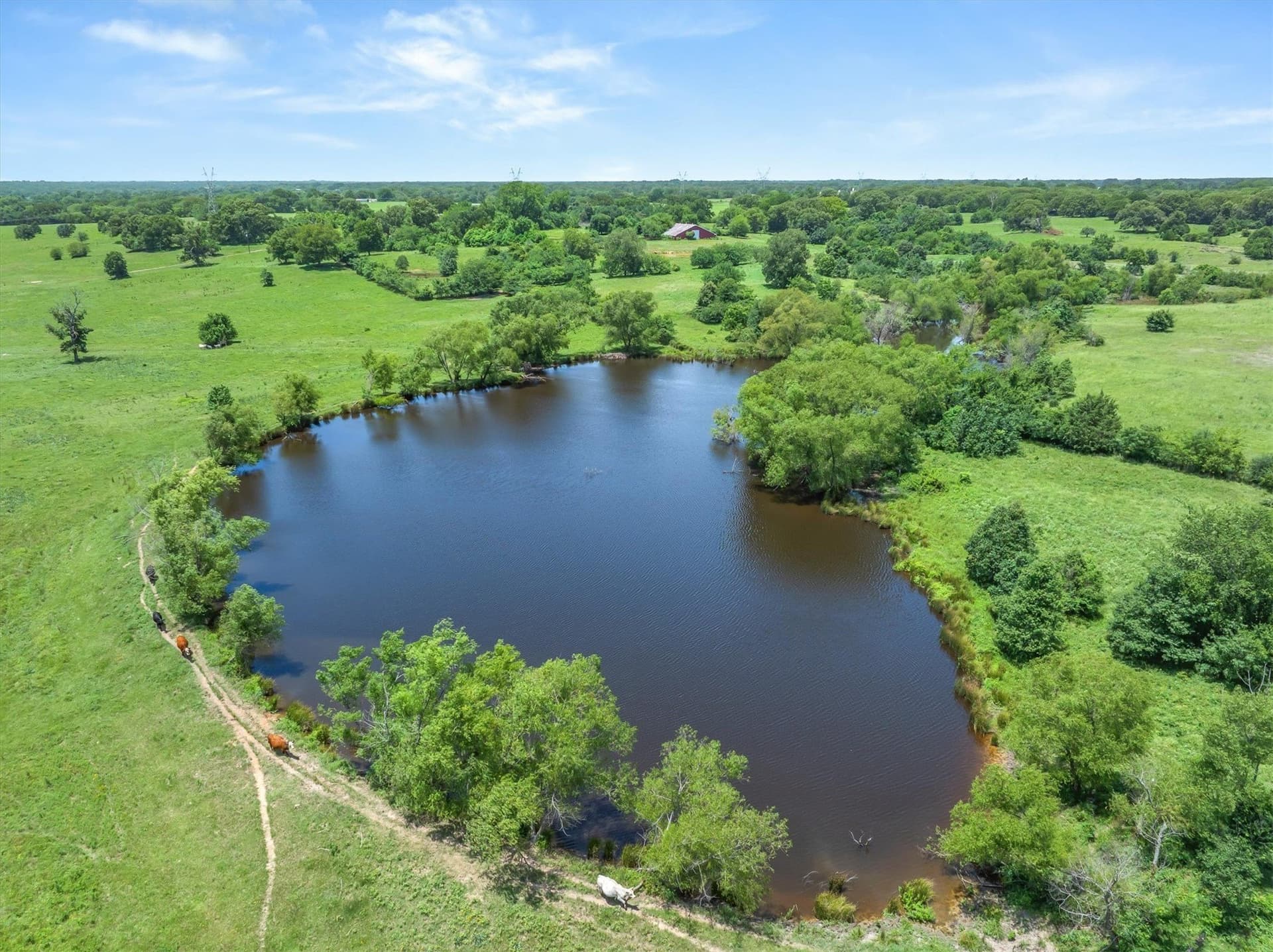 322.99 acres in Van Zandt County - photo 30