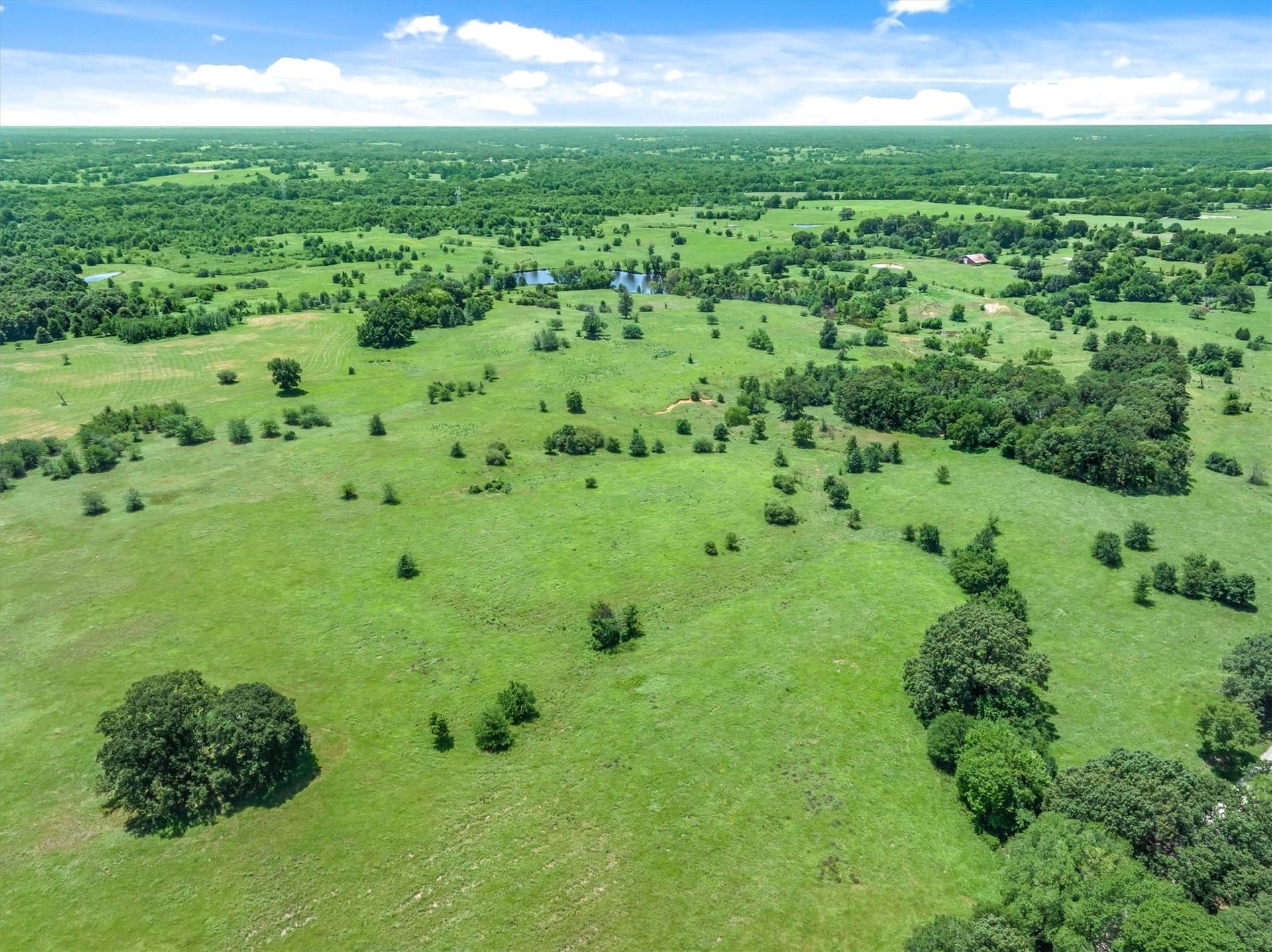 322.99 acres in Van Zandt County - photo 10
