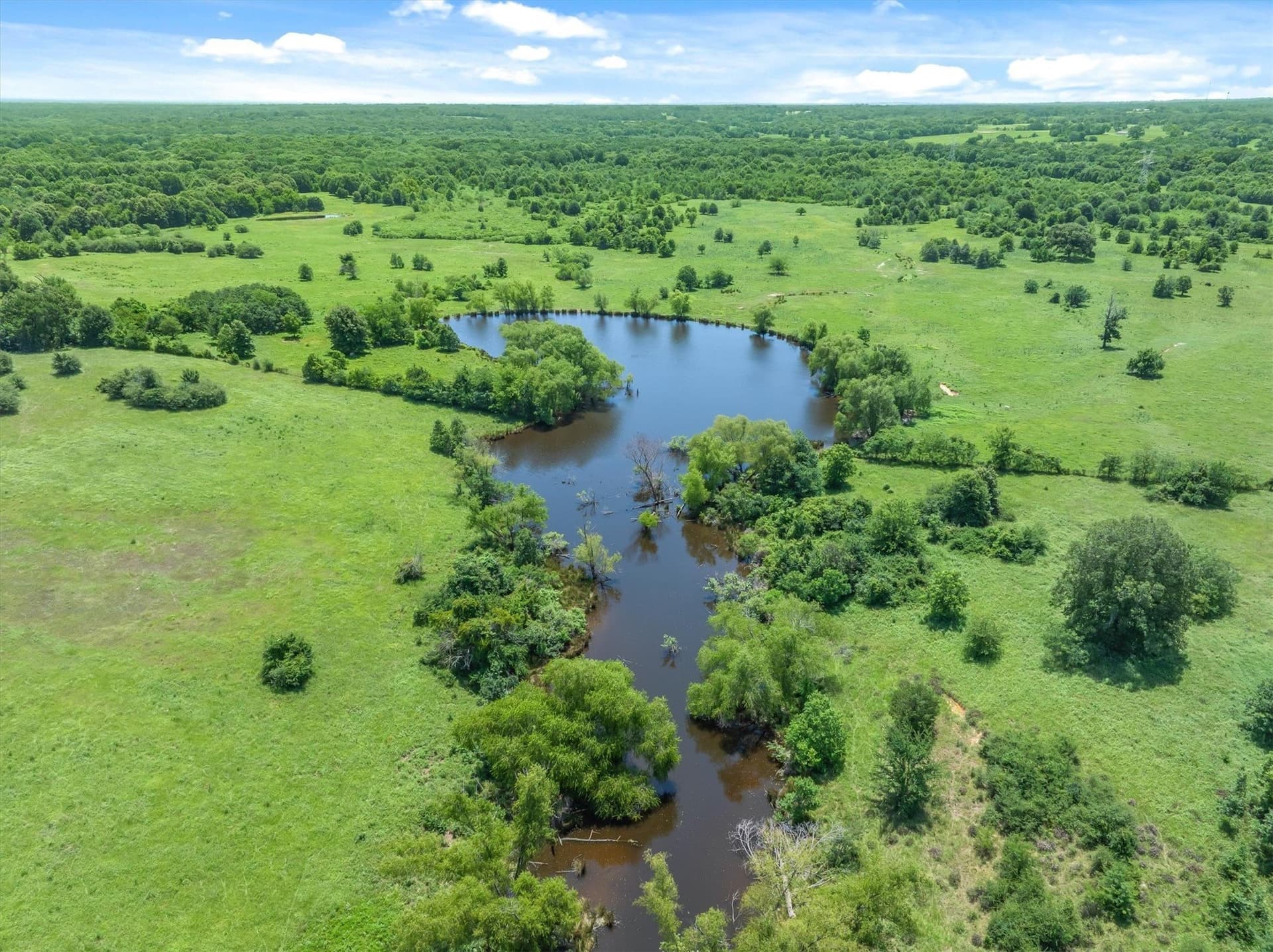 322.99 acres in Van Zandt County gallery image 4