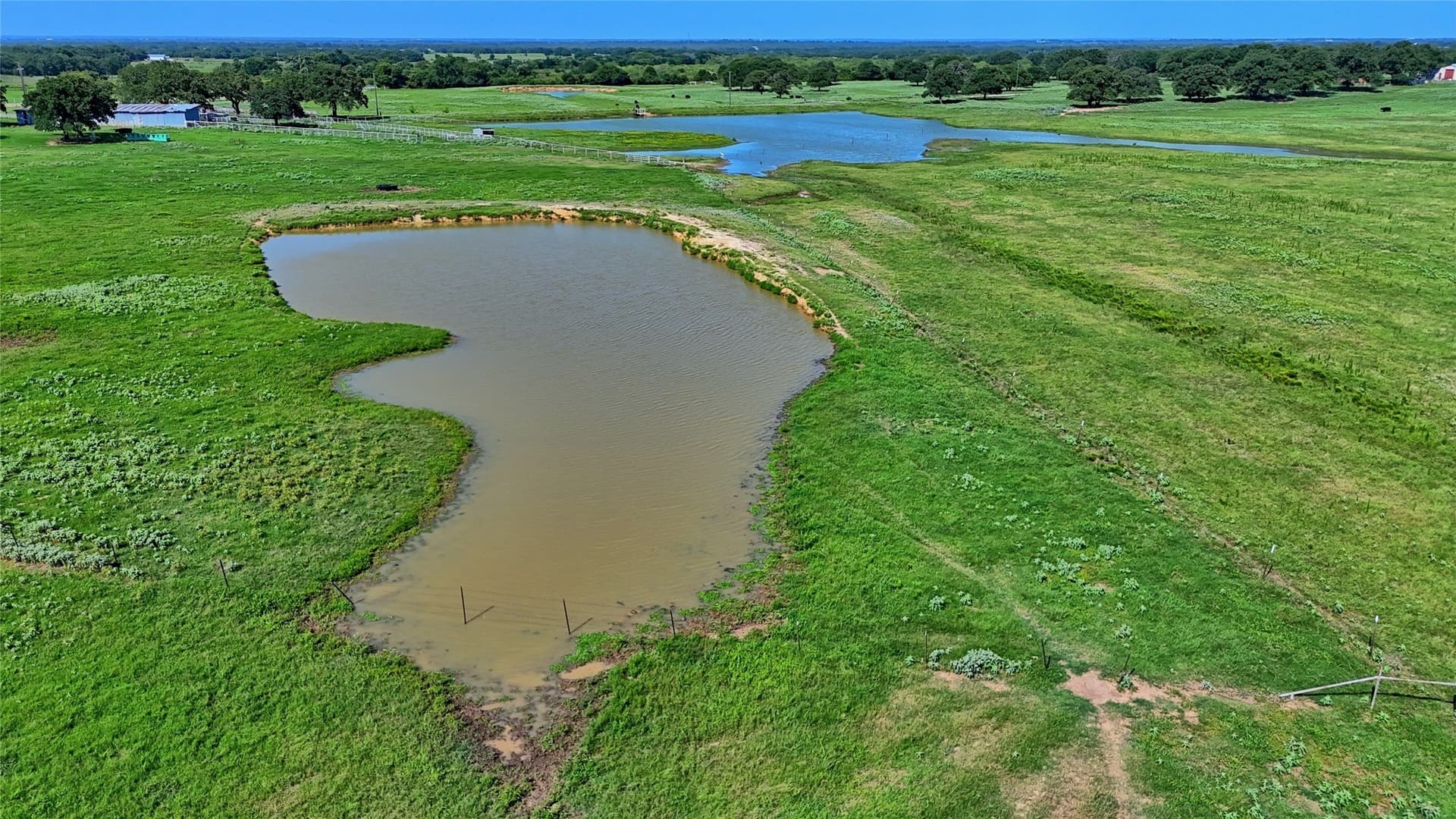 116 acres in Montague County gallery image 2