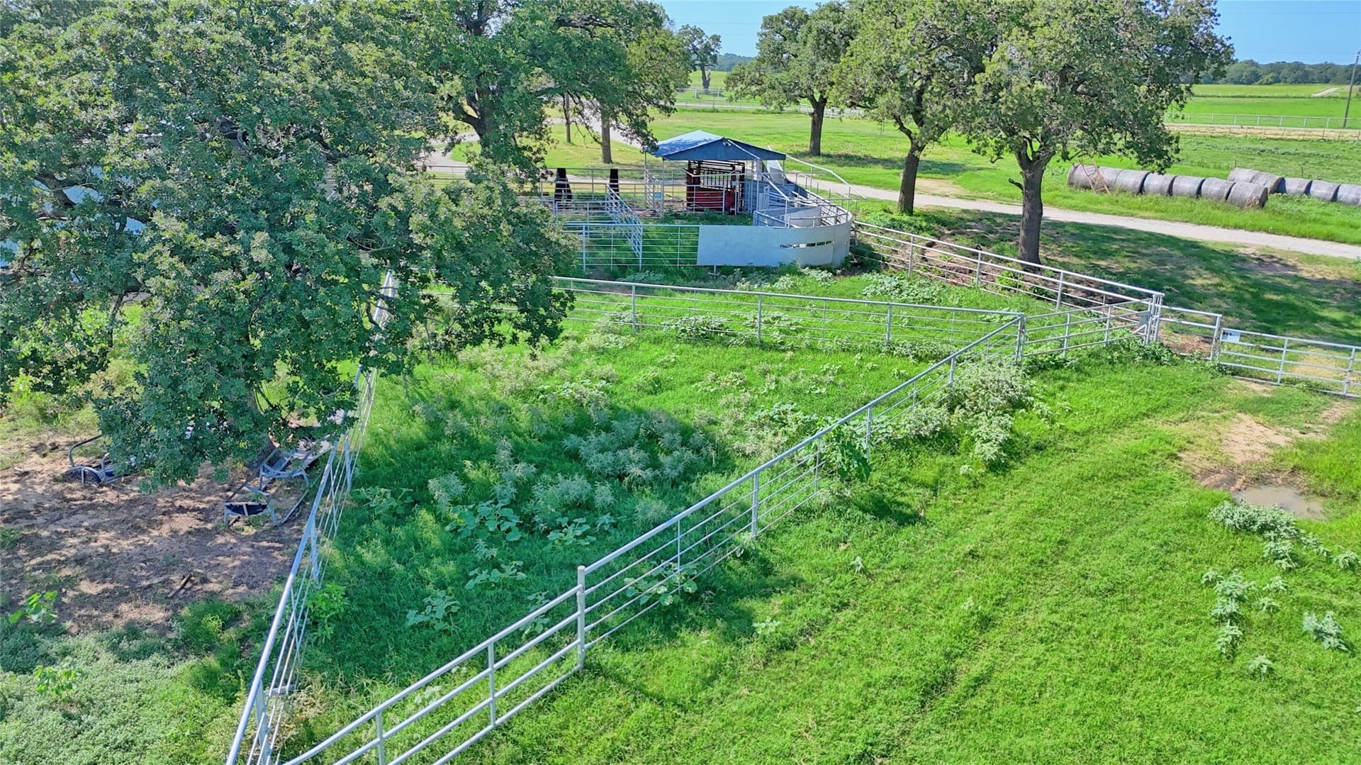 116 acres in Montague County - photo 9